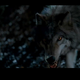 Image for article titled True Blood: "Conscience Off, Dick On"